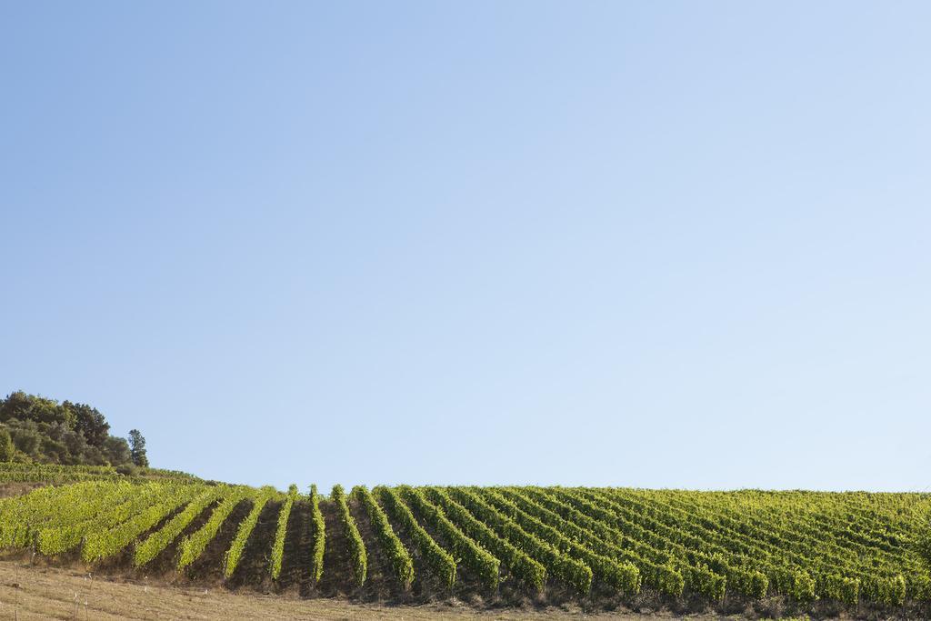 Quercia Al Poggio Villa Barberino di Val dʼElsa Dış mekan fotoğraf