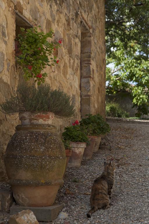 Quercia Al Poggio Villa Barberino di Val dʼElsa Dış mekan fotoğraf